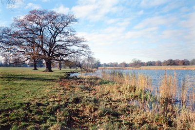 Udsigt over søen, Corsham Court, Wiltshire af Unbekannt Unbekannt