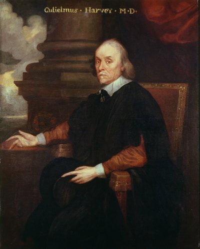 William Harvey (1578-1657) Kongelig læge, 1600-tallet af Unbekannt Unbekannt