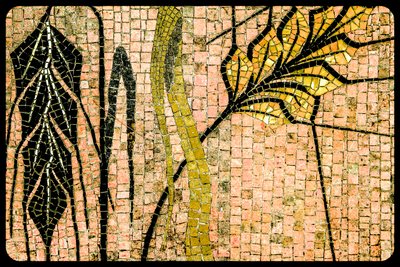 (9) fra serien, Twelve Tribes of Israel, 2017 (fotografi) af Unbekannter Künstler