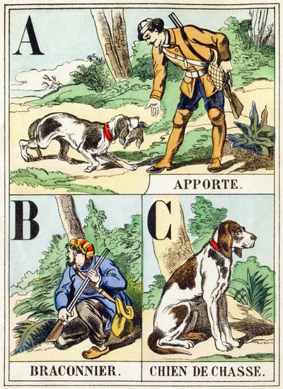 A B C: Bring, Krybskytte, Jagthund - Jagtalfabetet, ca. 1890 (gravering) af Unbekannt