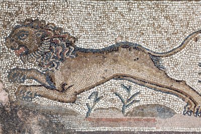 En løve - Detalje fra en frise, der skildrer scener fra en jagt ved siden af panelet, der repræsenterer det første bad af Achilleus - Paphos Mosaics, Villa of Theseus, 5. århundrede e.Kr. - Cypern - En løve - Detalje af en frise, der skildrer jagtscener om af William M. Timlin