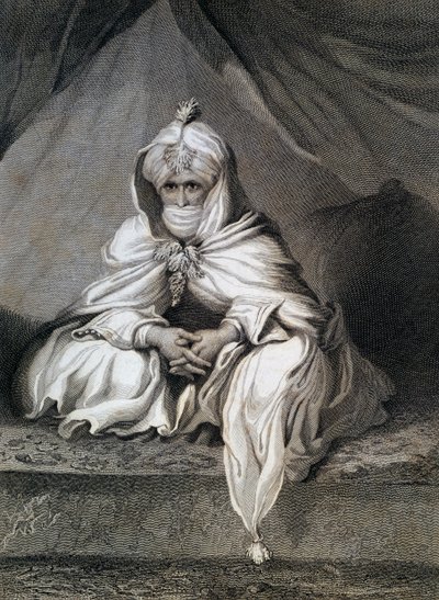 Al-Amin bin Muhammad, El Kanem af William M. Timlin