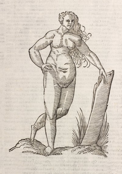 Androgynos af Unbekannt