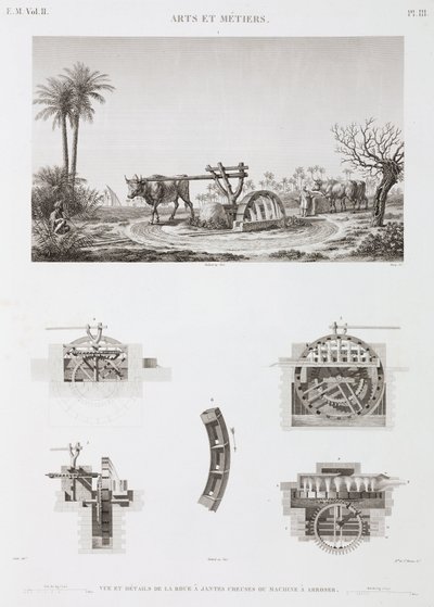 Animal Power Dyredrevet kunstvanding, Egypten, c 1798 af Unbekannt