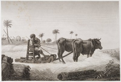 Agerbrug, høsttærskemaskine, Egypten, c 1798 af Unbekannt