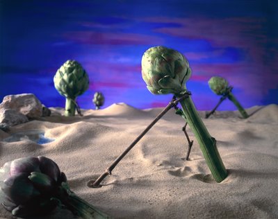Art-ichoke (Dali) 1996 (foto) af Unbekannter Künstler