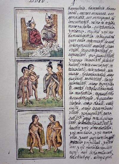 Aztec Society, Bog IV af Florentine Codex, Tosproget version på spansk og Nahuatl, Generel historie om tingene i New Spain, Aztec civilisation af William M. Timlin