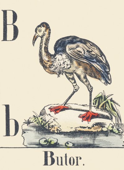 B: Rørdrum, ca. 1880-1900 (illustration) af Unbekannter Künstler