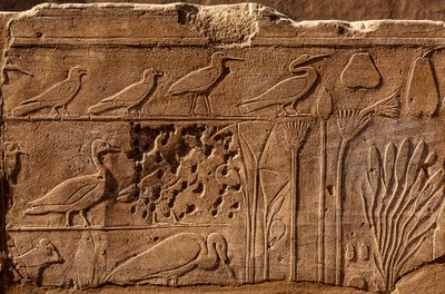 Botanisk have Thutmosis III med reliefafbildninger af planter og dyr, Karnak-templet, Luxor, Theben, Egypten, Afrika (foto) af Unbekannter Künstler