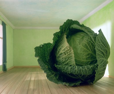 Kål (efter Magritte) af Unbekannter Künstler