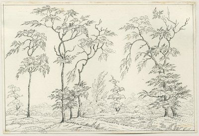 Cannock Chase: pen- og blyantstegning, nd [?1800-tallet] af Unbekannt