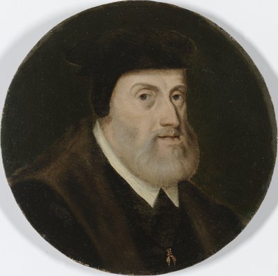 Charles V, hellig romersk kejser, ca. 1550 (olie på panel) af Unbekannt
