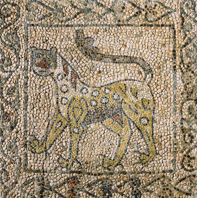 Sankt Johannes Evangelistens kirke, fjerde korstog, fragmenter af mosaikgulv med en plettet panter, Ravenna, Emilia-Romagna, Italien af William M. Timlin
