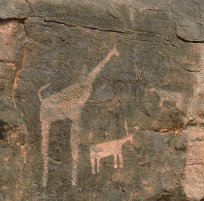 Nærbillede af forhistoriske malerier, Tenere-ørkenen, Niger af Benjamin Baud