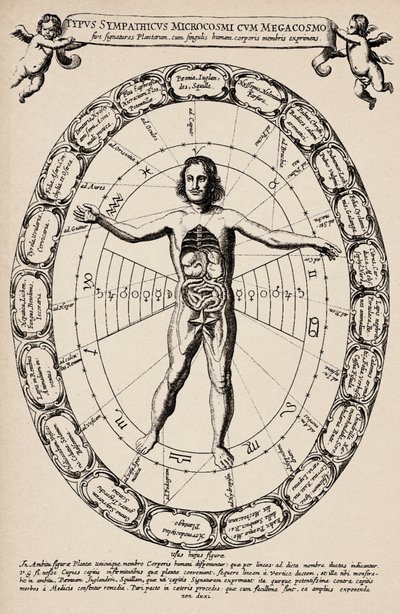 Korrespondance mellem mikrokosmos og makrokosmos. Planche taget fra "Mundus subterraneus" af Athanase Kircher (1601-1680) af Unbekannter Künstler