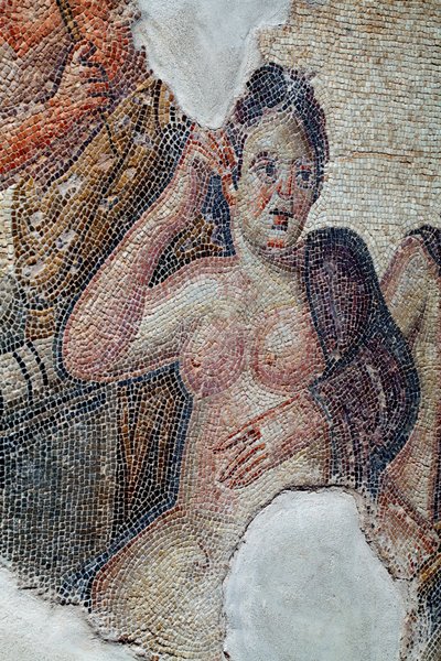 Detalje af panelet, der viser Leda, dronning af Sparta, i selskab med de lakedaemoniske piger, der er ved at tage et bad i Eurotas-floden - Hun bliver kontaktet af Zeus forklædt som en svane - Paphos Mosaics, House of Aion, 3. århundrede e.Kr - Cypern - D af Unbekannter Künstler