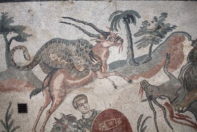 Detalje af den store jagtmosaik. En leopard angriber en gazelle. 3. - 4. århundrede. Roman Villa of the Casale, Sicilien. UNESCO-sted. af William M. Timlin