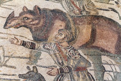 Detalje af den store jagtmosaik. Et næsehorn bliver ført op på en båd for at blive transporteret til den nærmeste havn. 3. - 4. århundrede. Roman Villa of the Casale, Sicilien. UNESCO-sted. af William M. Timlin