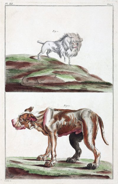 Hunde af Unbekannt