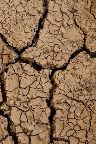 Dry II (fotografi) af Unbekannter Künstler