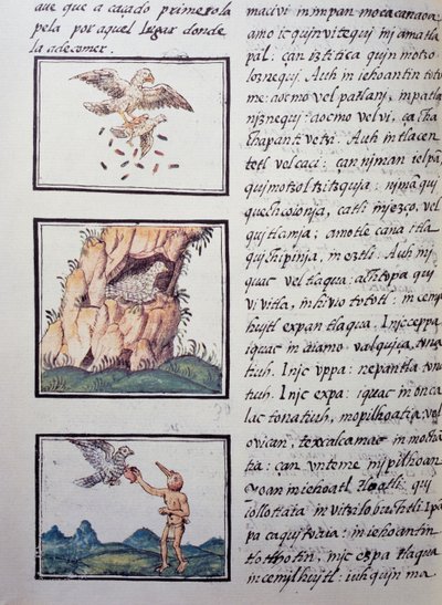 Eagles, side fra den florentinske Codex, tosproget version på spansk og Nahuatl, General History of the Things of New Spain af den spanske missionær Fray Bernardino de Sahagun (1499-1590). Aztekisk civilisation af William M. Timlin