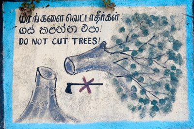 Miljøbeskyttelse; malet tegn; """ Skær ikke træer""""" der viser et fældet træ og en overstreget økse; Nuwara Eliya; Sri Lanka; Asien af Unbekannt