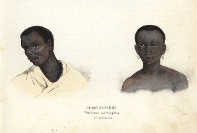 Etiopisk mand og kvinde. Håndkoloreret stålstik fra Georg Friedrich Treitschkes naturhistoriske galleri, Naturhistorischer Bildersaal des Thierreiches, Liepzig-1842. af Unbekannter Künstler