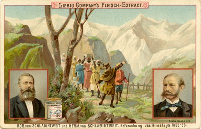 Udforskning af Himalaya af Unbekannter Künstler