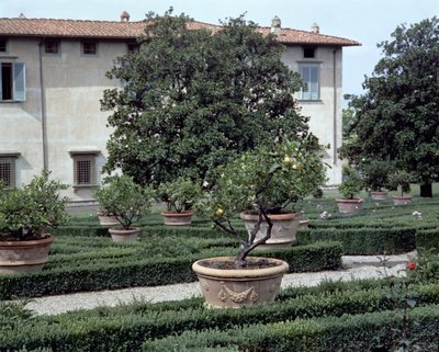 Udvendig udsigt over villaen Medicea di Castello og haven (foto) af Unbekannt