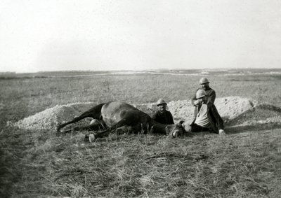 Første Verdenskrig 14-18 (1914-1918): tre franske soldater begraver en død hest - fotografi på glasplade af Unbekannter Künstler