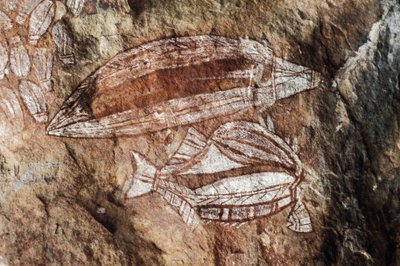 Fisk, klippemaleri, Arnhem Land, Northern Territory, Australien, Aboriginal kultur af Benjamin Baud