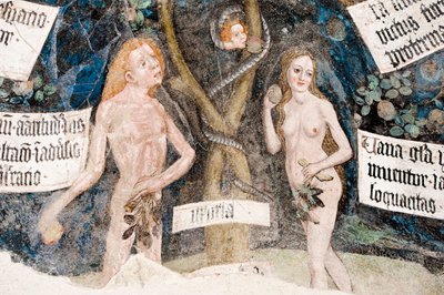 Gotisk fresco; Adam og Eva synder; med slangen; 8. Kloster; Katedral; Brixen; Sydtyrol; Italien; Europa af Unbekannt