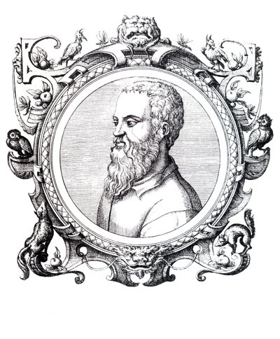 Guillaume Rondelet von Unbekannt