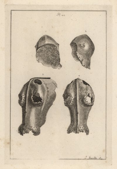 Hjelm 1,2 og jernkanfron eller chafron 3,4, der tilhørte Guy, Earl of Warwick af Unbekannt