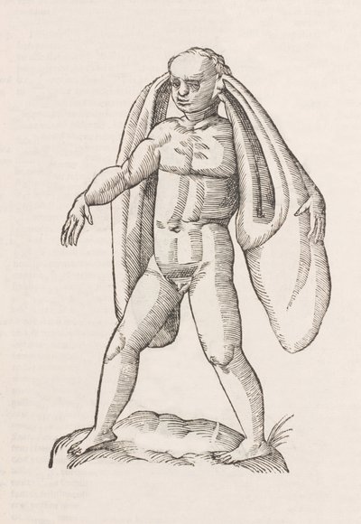 Homo fanesius auritus af Unbekannt