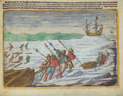 Illustration taget fra Willem Barents