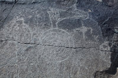 Indiske helleristninger - Dyre- og symbolsk repræsentation - Petroglyph National Monument - Albuquerque, New Mexico, USA (USA) af William M. Timlin