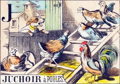 J Juchoir a poules - "gårdens alfabet" slutningen af det 19. århundrede (gravering) af Unbekannt