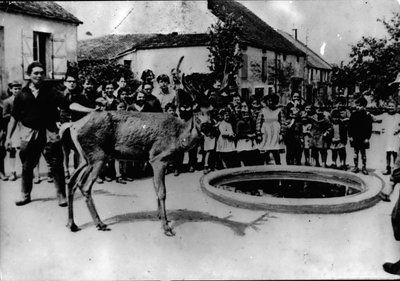 Jun 06 von Unbekannt