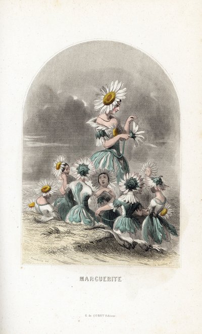 Les fees des daisies des pres, toppet med blomsterhatte, den ene efterlader kronbladene fra en tusindfryd - Eau forte af Charles Geoffroy (1819-1882), efter en illustration af Jean Ignace Isidore Gerard dit J.J.Granville (1803-1847), for Les fleurs animees af Unbekannter Künstler