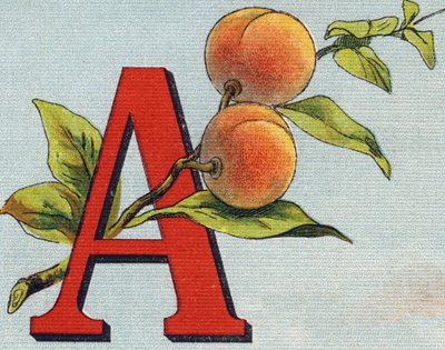 Bogstav A: abrikos. Indgravering i "Alphabet de ma petite fille". Bernardin-Bechet og Fils, boghandler-forlag, Paris, omkring 1895. Ubrydeligt album på lærred. Bibliotheque des Bebes. 12 sider. Album indeholdende en læsemetode og en illustrativ abeced af Unbekannt