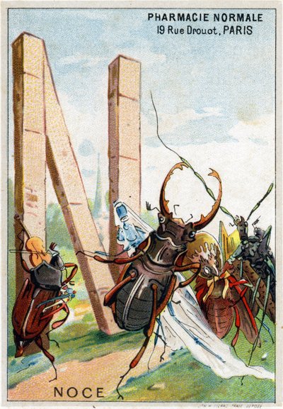 Bogstav N som bryllup. Mr. Mariniers kunstneriske alfabet. Redigeret af Henry Sicard, slutningen af det 19. århundrede. Reklamekromolitografier for produkter, der sælges på apoteker. Mål: 12,5 x 9 cm af Unbekannt