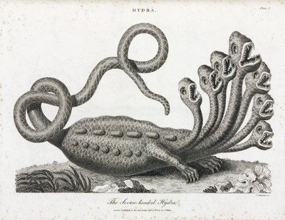 Hydra har syv hoveder af Unbekannt
