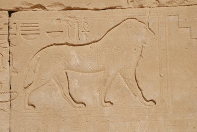 Løveudskæring, Karnak, Luxor, Egypten (foto) af Unbekannt