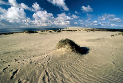 Litauen, Klaipeda, Curonian Spit, Nida, bevægende klitter kaldet Preussisk Sahara af William M. Timlin