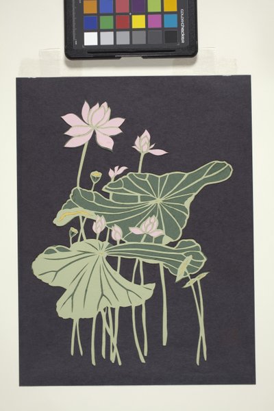 Lotus (flerfarvet skåret papir) af Unbekannter Künstler