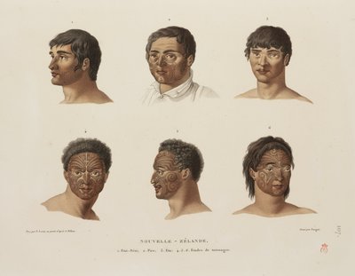 Maori tatoveringer af Unbekannt