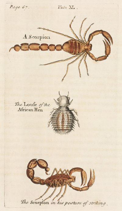 Mikroskopie von Unbekannt