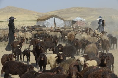 Nomadetelte mellem Tamar og Ashkhaneh, Iran 2022 (fotografi) af Unbekannter Künstler