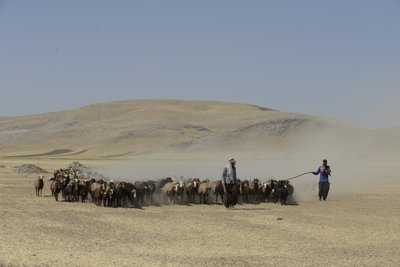 Nomadetelte mellem Tamar og Ashkhaneh, Iran 2022 (fotografi) af Unbekannter Künstler